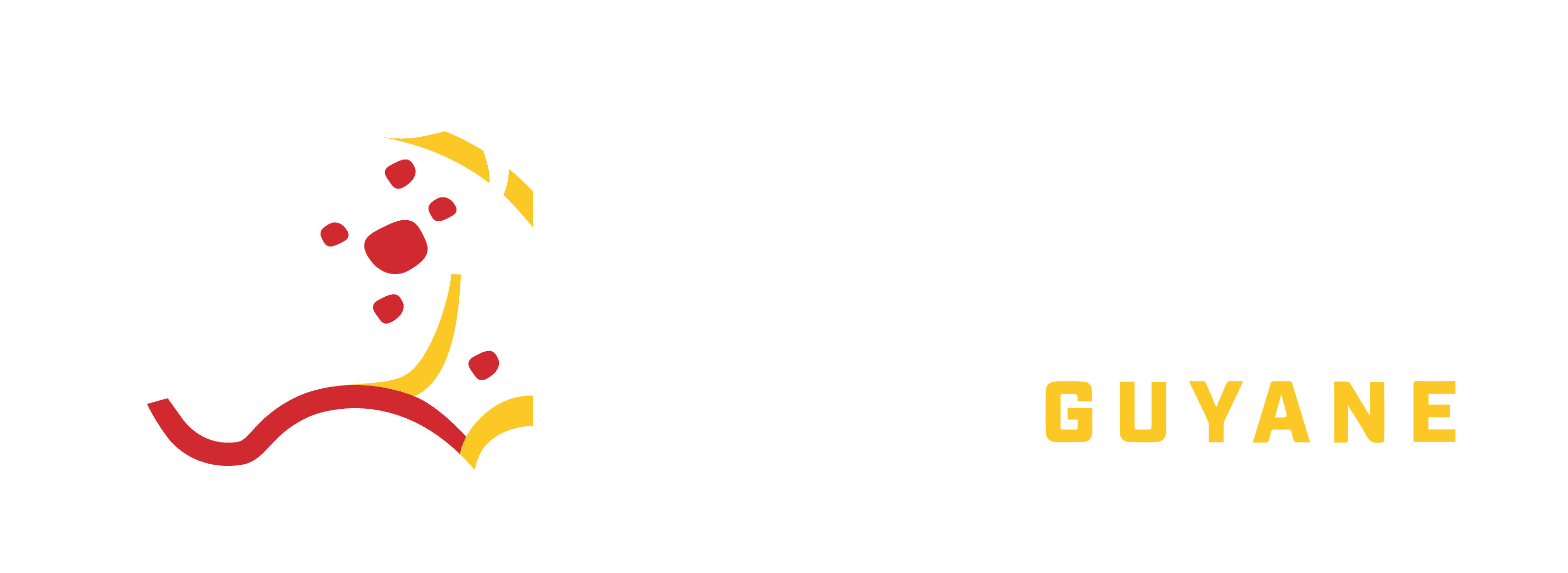 Formation Guyane - RSMA Guyane